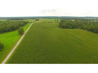 TRACT 72 - ILLINOIS LAND AUCTION - 4,810+/- ACRES OFFERED IN 85 TRACTS IN FRANKLIN, WILLIAMSON, HAMILTON & SALINE COUNTIES, ILLINOIS